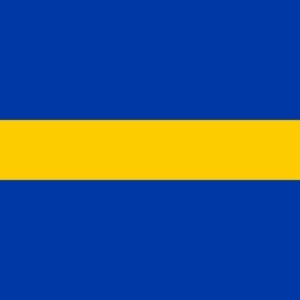 Borne Gemeentevlag