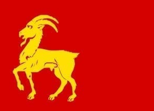 Boxmeer Gemeentevlag
