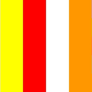 Buddhist Buddha flag