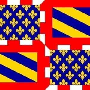 Bourgogne Burgundy flag