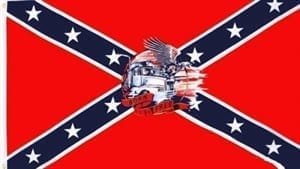 Confederate Born to be Free flag