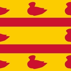 Cuijk Gemeentevlag