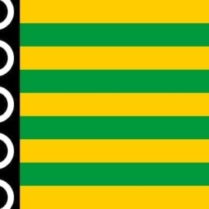 De Wolden Gemeentevlag