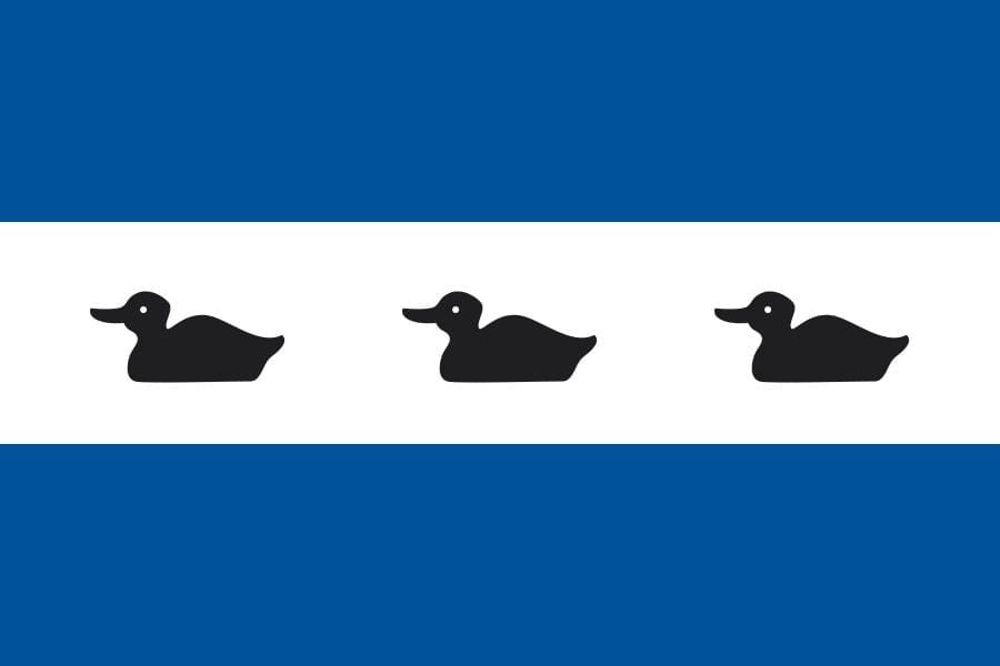 Diemen Gemeentevlag