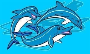 Dolphin flag