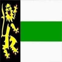 Druten Gemeentevlag