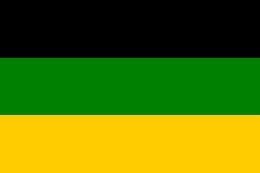 ANC flag patch