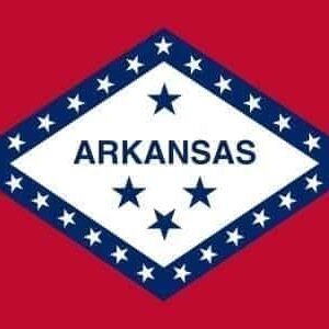 Arkansas State flag