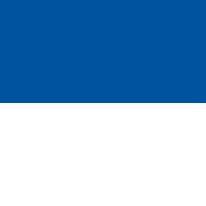 Assen Gemeentevlag