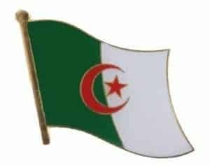 Algeria flag lapel pin
