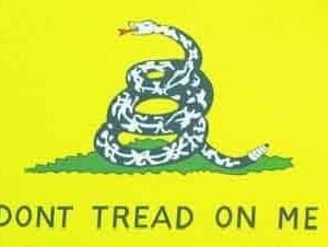 USA Dont Tread On Me Gadsen Yellow flag