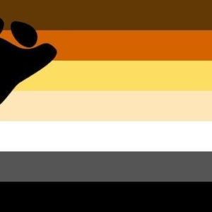 Gay Pride Bear flag
