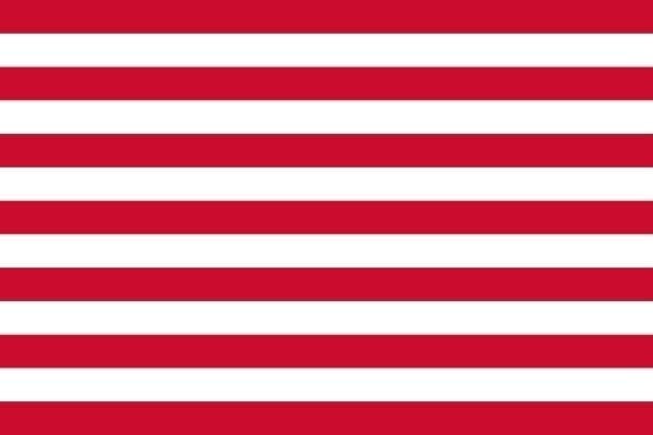 Goes Gemeentevlag