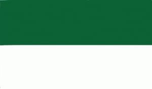 Mega grote Groen Witte vlag 5x3m