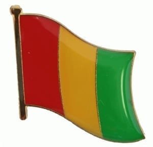 Guinea flag pin