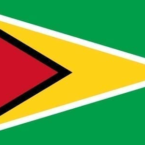 Guyana flag