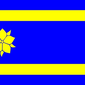 Hattem Gemeentevlag