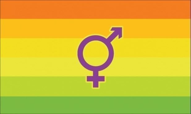 Intersex Hermaphrodite Pride flag