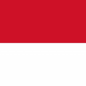 Indonesia flag