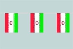 Iran Flag bunting 12m long