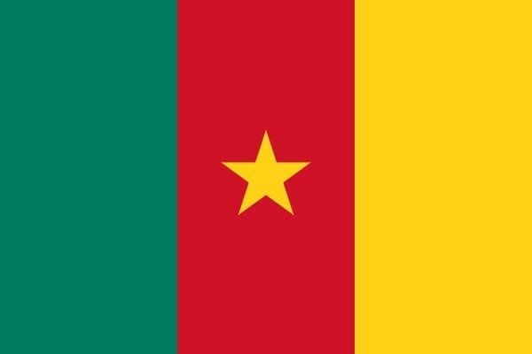 Cameroon flag