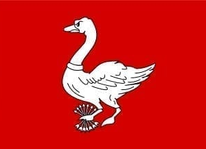 Landsmeer Gemeentevlag