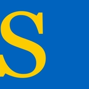 Laren Gemeentevlag