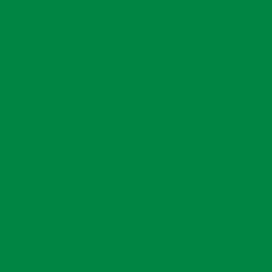 Libia flag 1977 to 2011