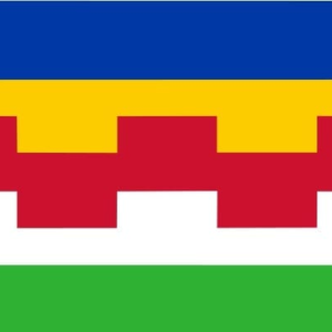Maasdriel Gemeentevlag