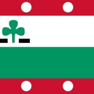 Meppel Gemeentevlag