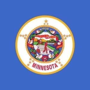 Minnesota state flag