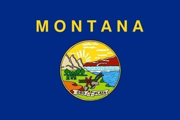 Montana State flag