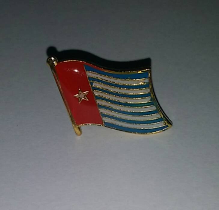 Morgenster vlag speldje