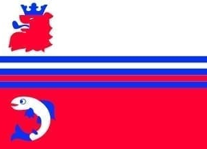 Neerijnen Gemeentevlag
