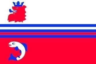 Neerijnen Gemeentevlag