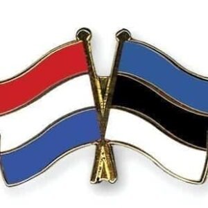 Netherlands Estonia flag Friendship Pin
