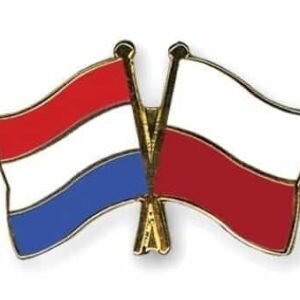 Netherlands Poland flag friendship pin