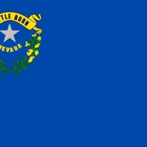 Nevada State flag