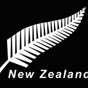 New Zealand Fern flag