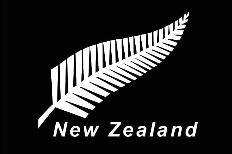 New Zealand Fern flag