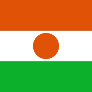Niger flag