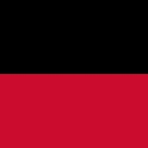 Nijmegen Gemeentevlag