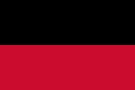 Nijmegen Gemeentevlag