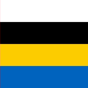 Nuenen Gemeentevlag