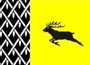 Nunspeet Gemeentevlag