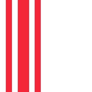 Oisterwijk Gemeentevlag