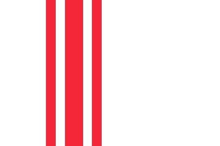 Oisterwijk Gemeentevlag