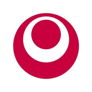 Japan Okinawa Flag