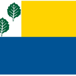 Oldebroek Gemeentevlag