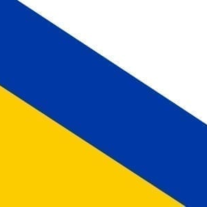 Ommen Gemeentevlag